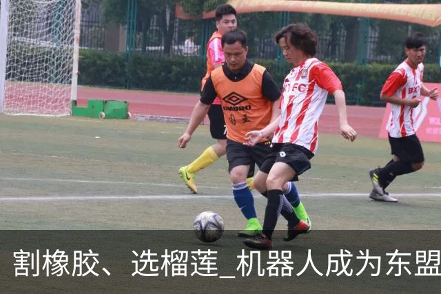 割橡胶、选榴莲 机器人成为东盟市场“新宠” 各国释放明确需求信号